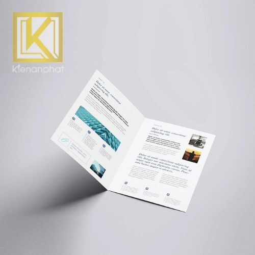 Kích thước in Brochure chuẩn bạn nên tham khảo