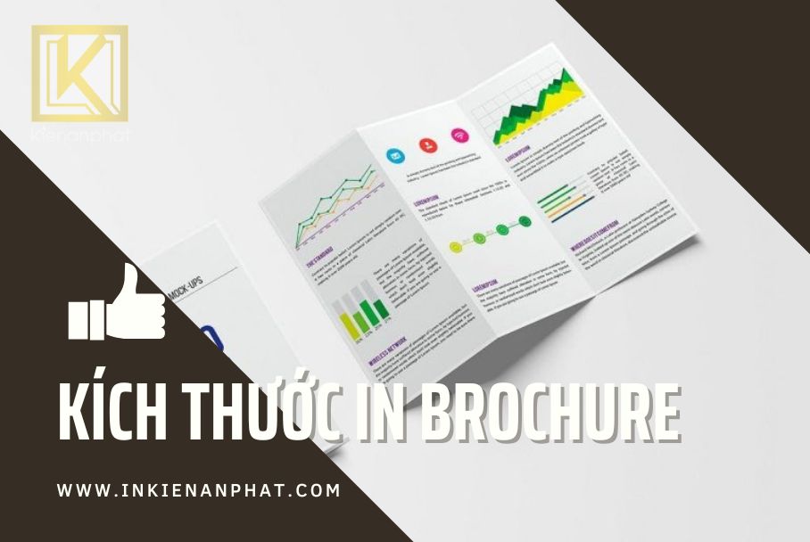 Tham khảo những kích thước in Brochure chuẩn