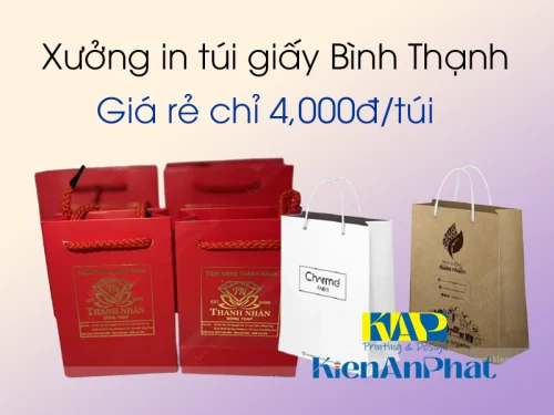 Xưởng in túi giấy Bình Thạnh giá rẻ chỉ 4,000đ/túi
