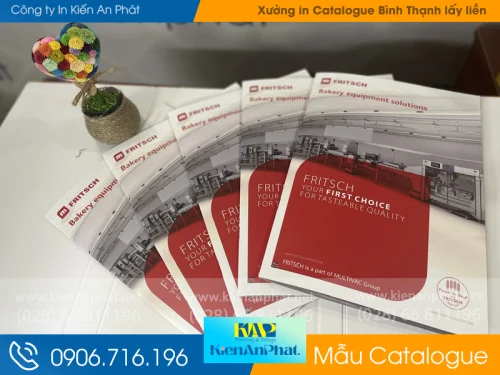 Mẫu Catalogue Đẹp tại Bình Thạnh