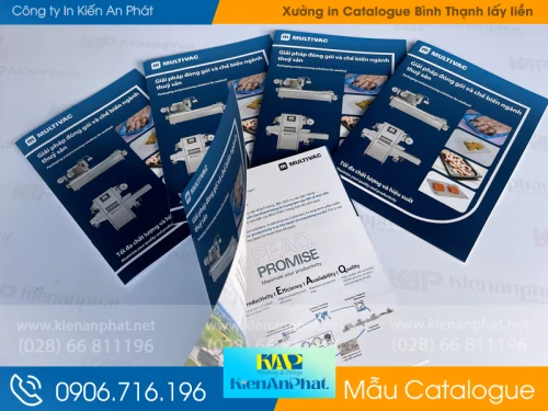 Mẫu in Catalogue Đẹp tại Bình Thạnh