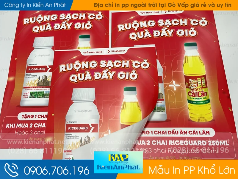 In pp ngoài trời Kiến An Phát – Địa chỉ in pp ngoài trời tại Gò Vấp giá rẻ và uy tín